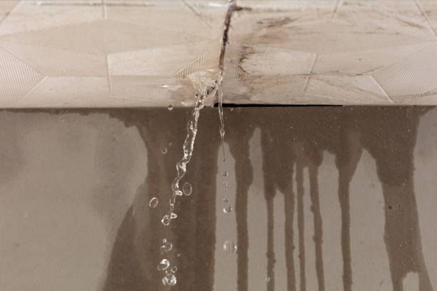 Professional Burst Pipe Cleanup technician working in Adelphi, MD